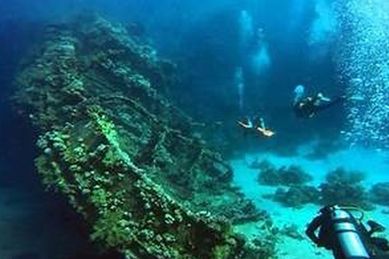 Egypt International Diving